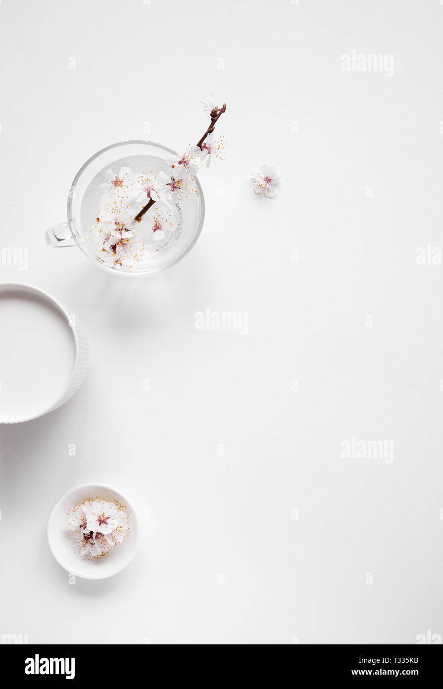 Fleurs blanc composition minimaliste zen sur fond blanc avec de l'espace libre pour votre texte Banque D'Images