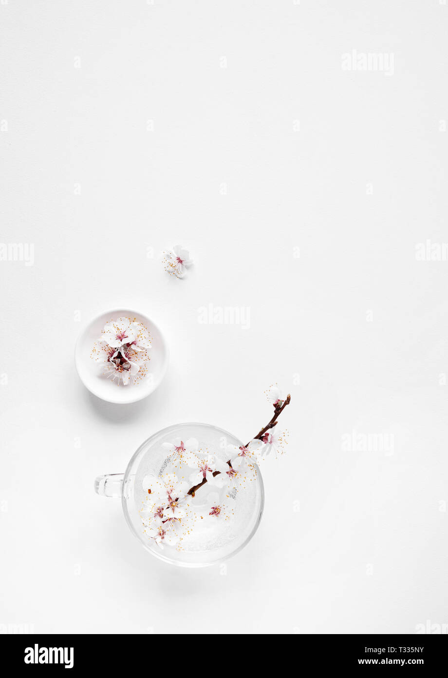 Fleurs blanc composition minimaliste zen sur fond blanc avec de l'espace libre pour votre texte Banque D'Images
