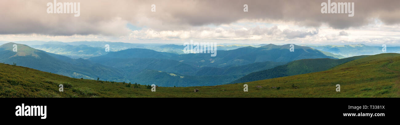 Panorama d'un superbe paysage d'été. temps couvert. crête de montagne dans la distance Banque D'Images