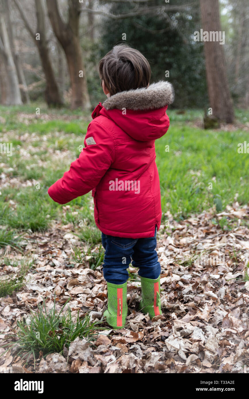 Petit garçon en manteau rouge et vert wellies marcher à travers les bois au  printemps Photo Stock - Alamy