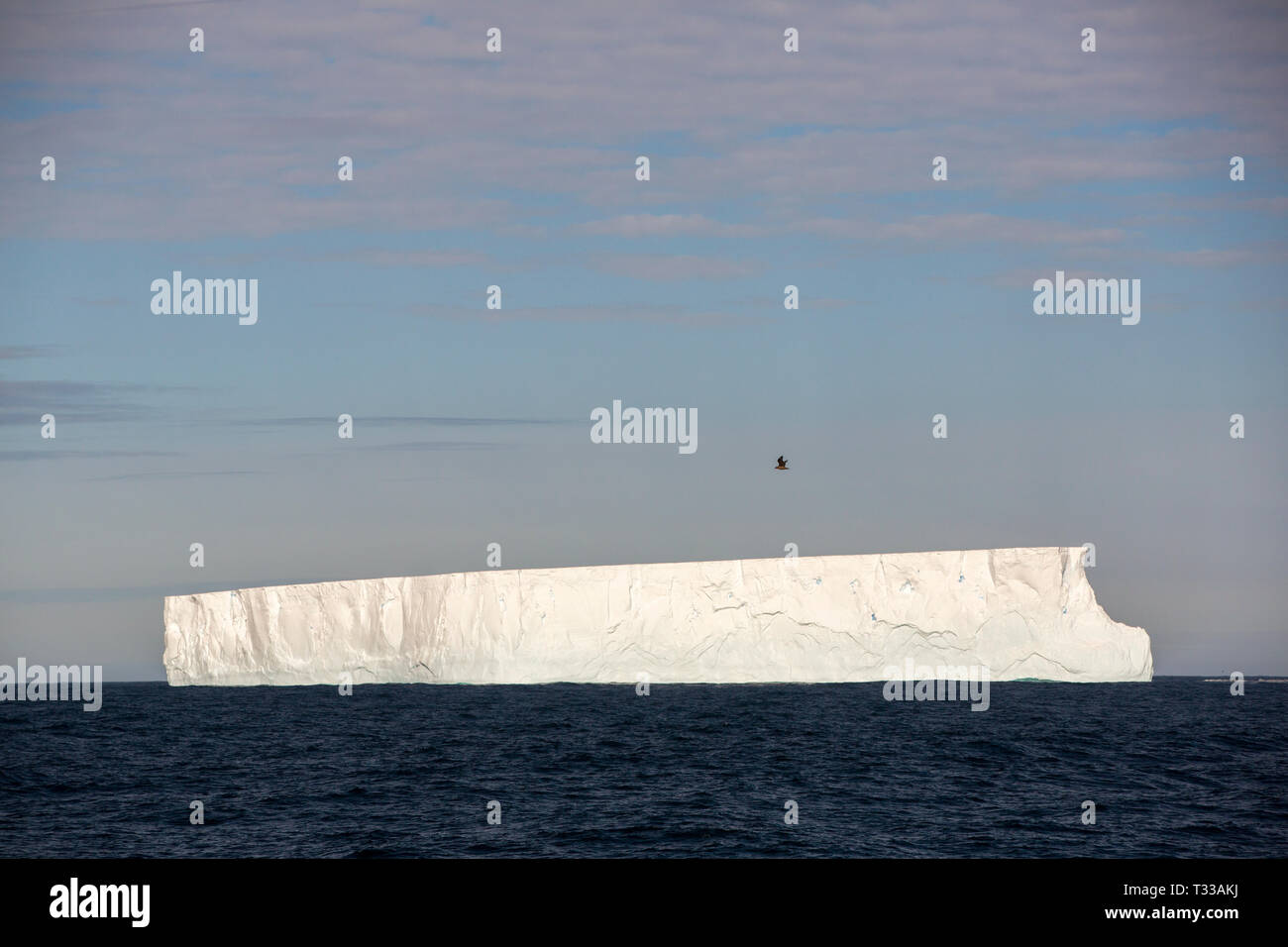 Les icebergs tabulaires près de Crystal Sound, dans l'Antarctique. Banque D'Images