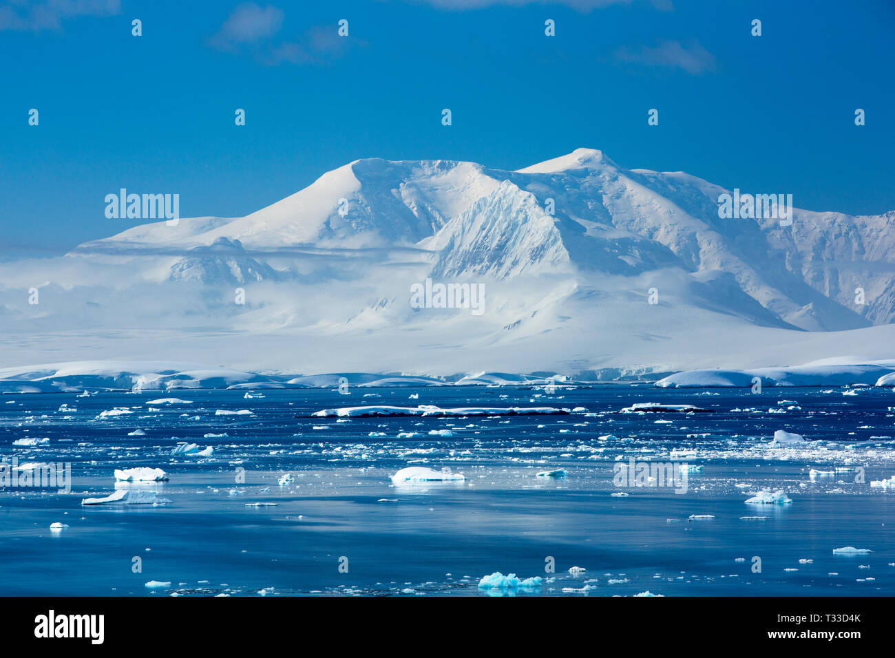 En regardant vers le 2610 m sommet du mont Francis, le plus haut sommet de la péninsule antarctique de Port Charcot, Wilhelm de l'archipel. Banque D'Images