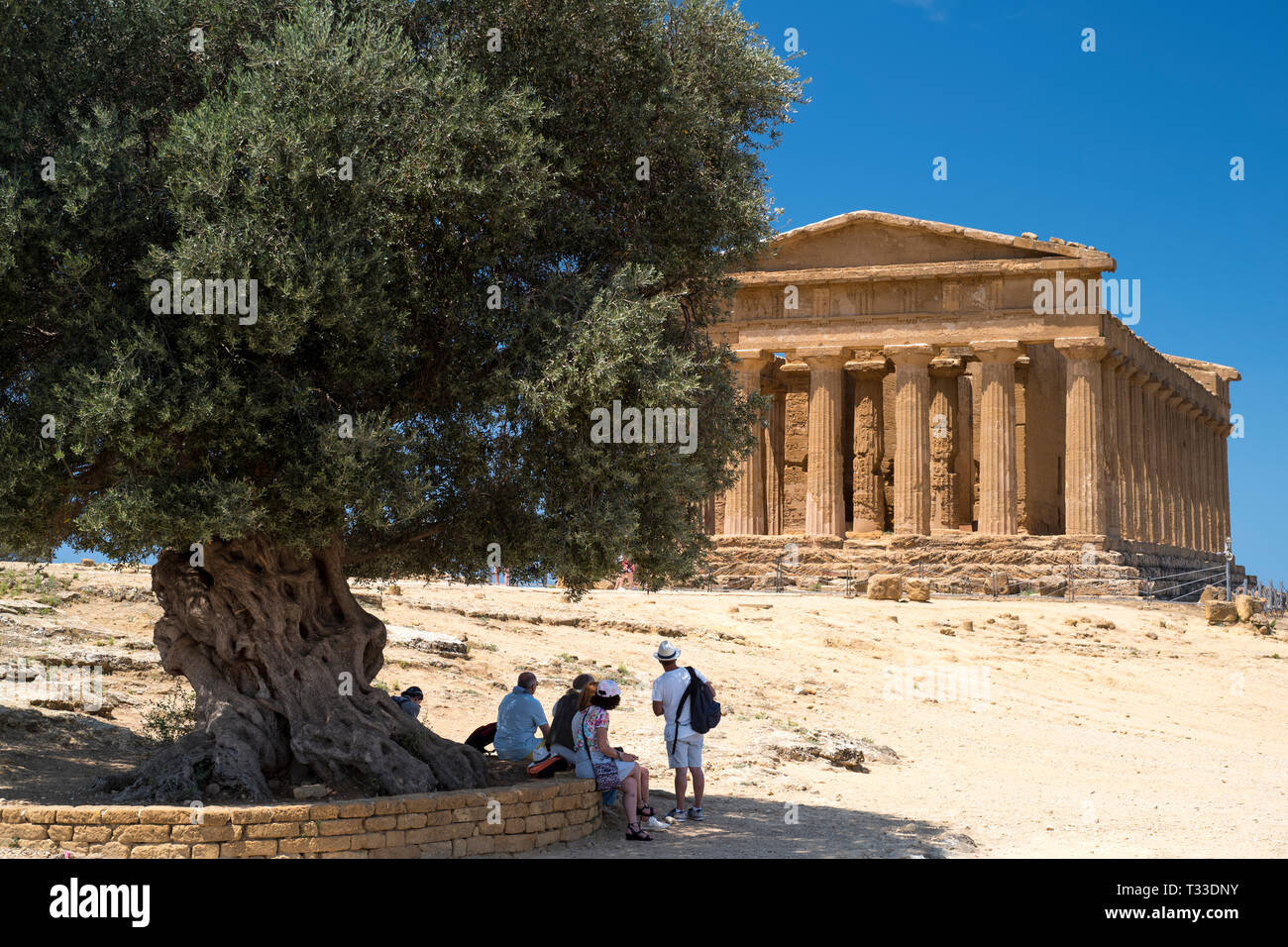 Les touristes dans le cadre de l'Olivier millénaire de Concordia au Temple de Concord (Concordia) dans la Vallée des Temples, Agrigente, Sicile Banque D'Images