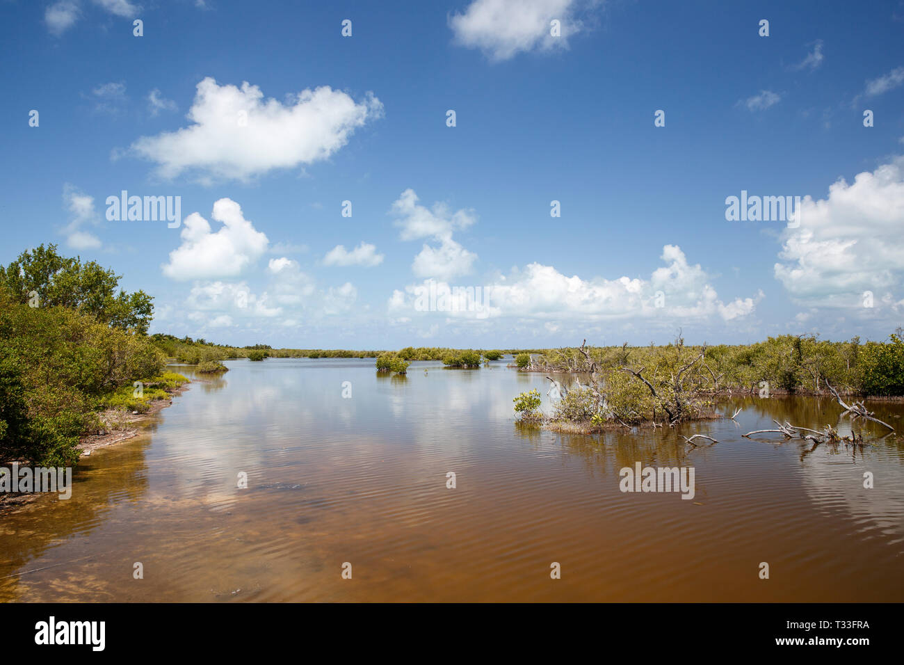 À l'intérieur de la lagune, l'Atoll de Chinchorro Banco Chinchorro, mer des Caraïbes, Mexique Banque D'Images