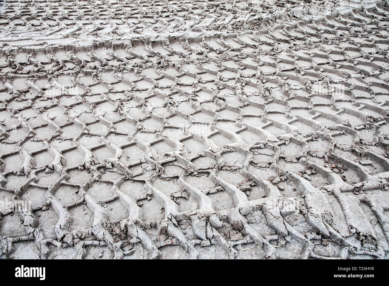 Des traces de pneus larges, véhicule de construction, dans le sable, d'un pneu adulte, Banque D'Images