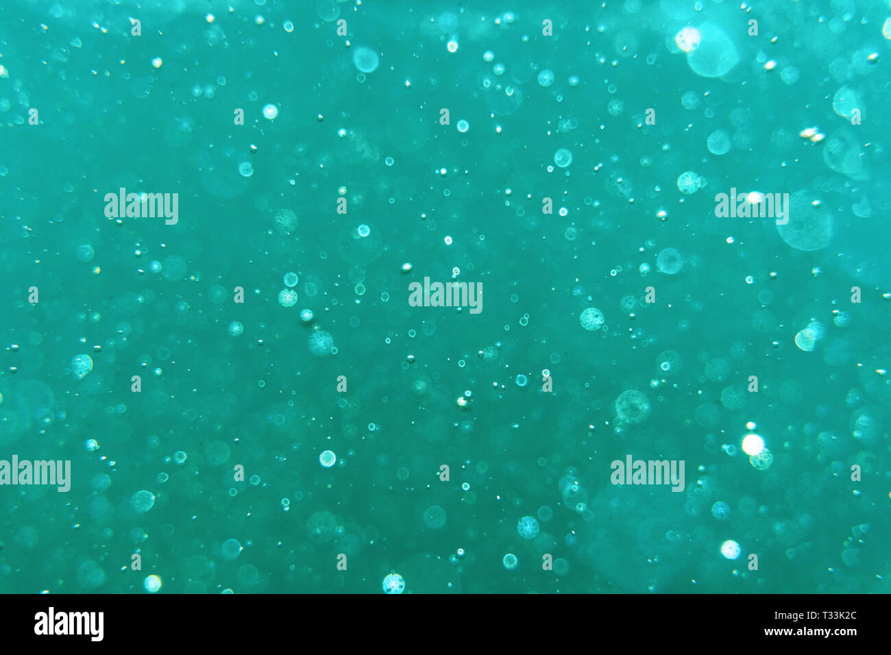 Résumé Sous l'arrière-plan flou et de bulles. Sous l'eau turquoise de l'océan en texture. Banque D'Images