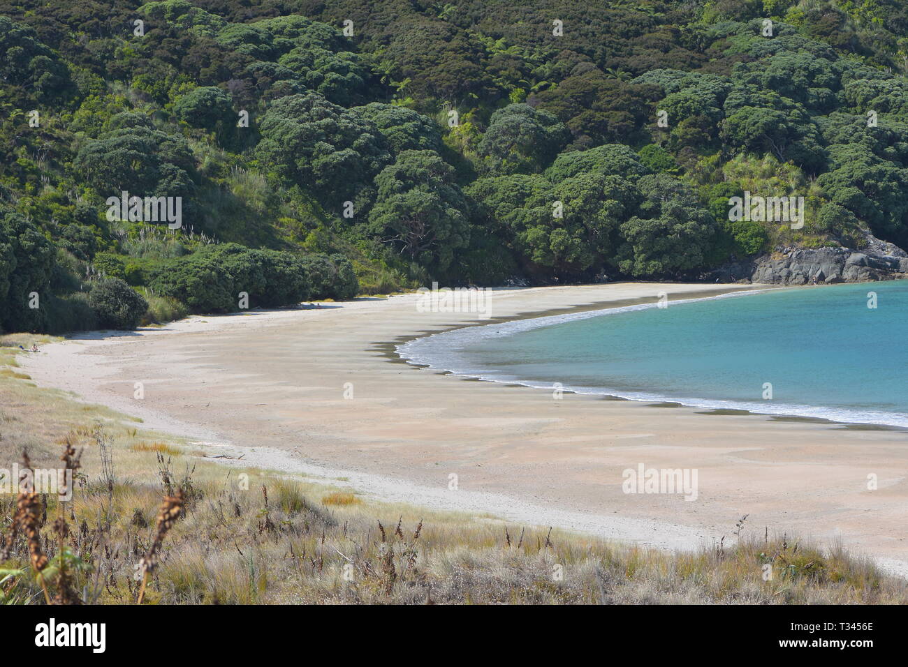 Vide pacific bay avec plage de sable plat et d''une télévision et de l'eau des buissons en arrière-plan. Banque D'Images