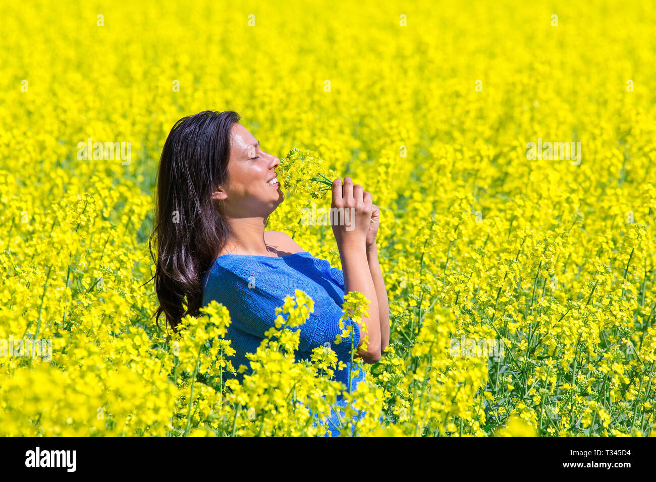 Jeune femme colombienne fleurs jaunes odorantes dans champ de colza agricole Banque D'Images