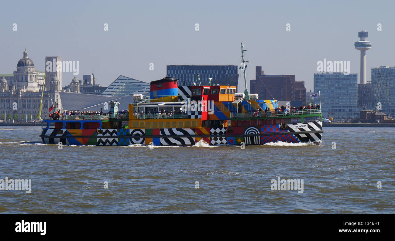 Ferry Mersey Snowdrop décoré dans le style d'un dazzle livré avec un motif unique intitulé "Everybody Razzle Dazzle' par Sir Peter Blake. Banque D'Images