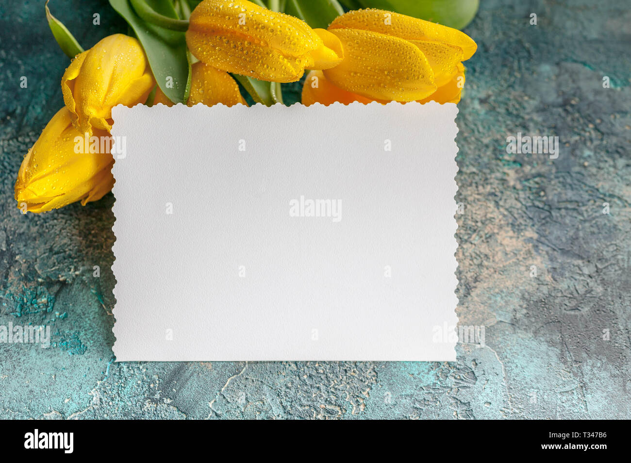 Carte vierge blanche vide et tulipes jaune sur bleu fond de béton. Vue d'en haut Banque D'Images