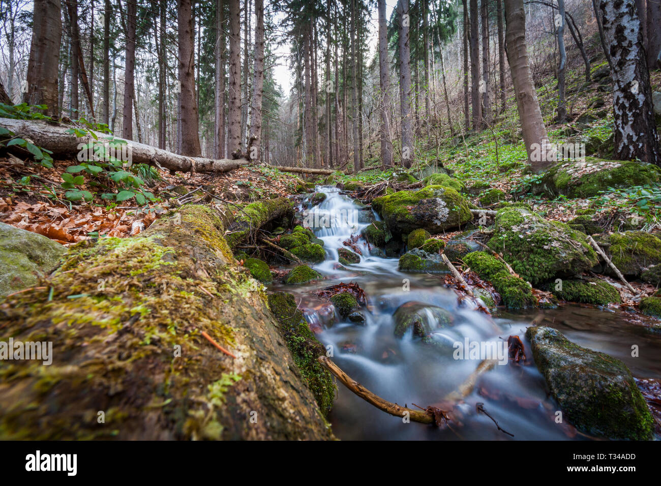 Une longue exposition photo d'une rivière de montagne dans la montagne Vitosha, Sofia, Bulgarie Banque D'Images