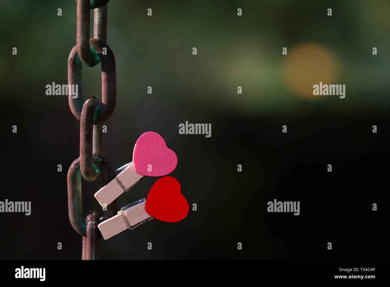 Love concept : deux clips rouge et rose avec forme de coeur sur une chaîne en acier avec jardin ou fond vert Banque D'Images