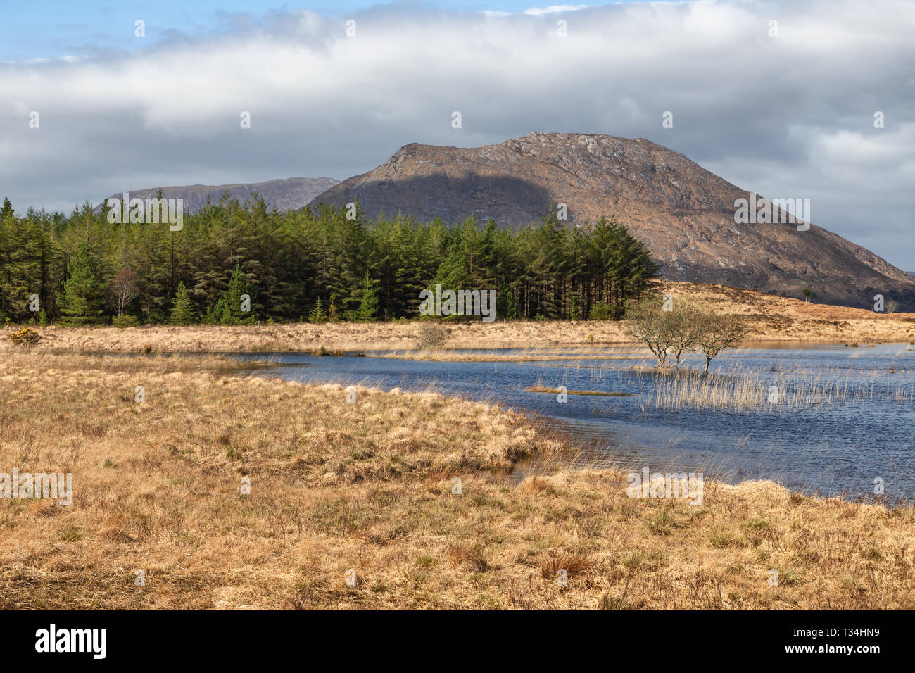 Sur la montagne, le lac et la végétation de façon Western trail dans le Lough Corrib, Maam Cross, Galway, Irlande Banque D'Images