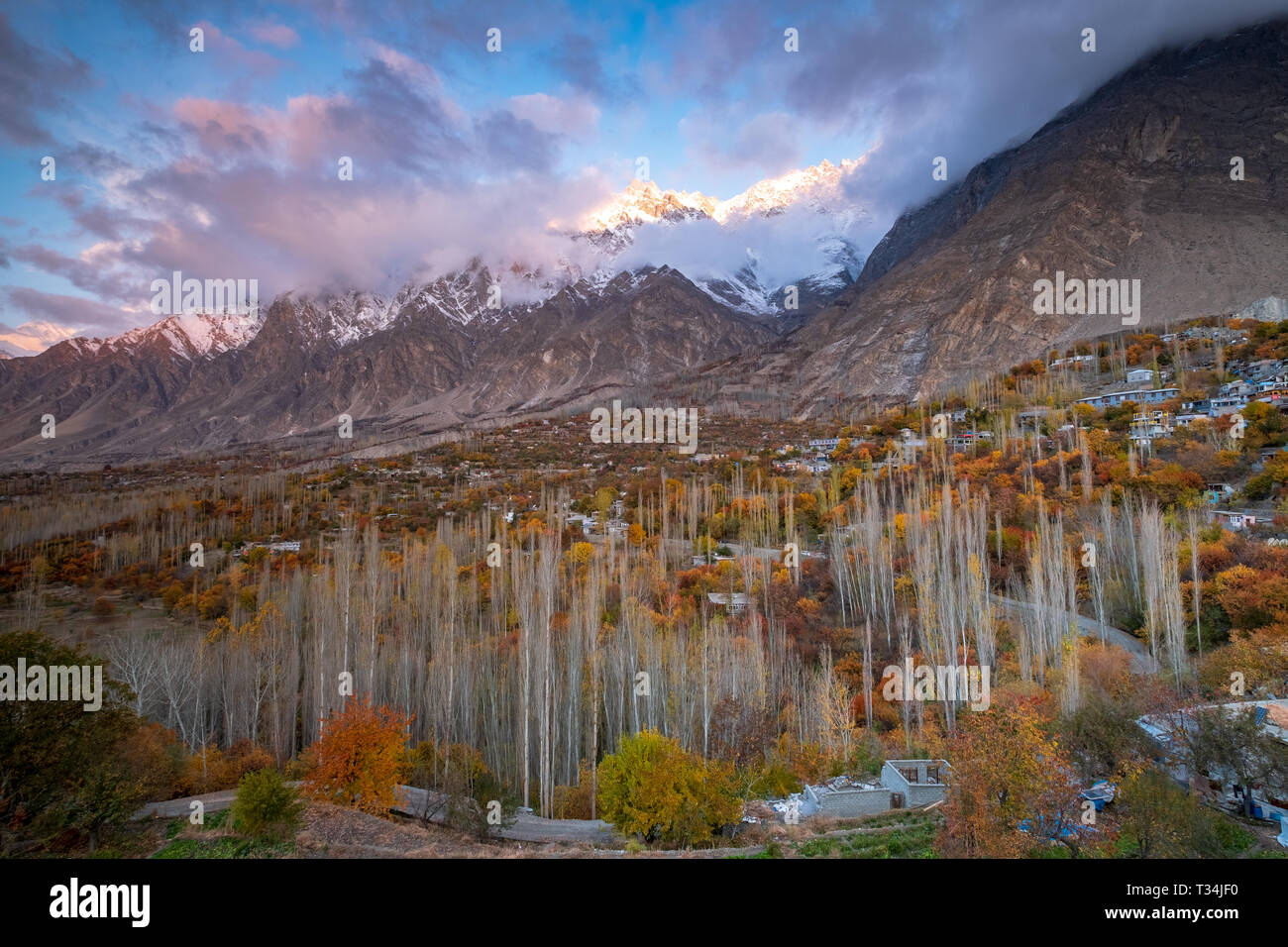 Hutte de forêt en automne, Hunza, Gilgit-Baltistan, Pakistan Banque D'Images
