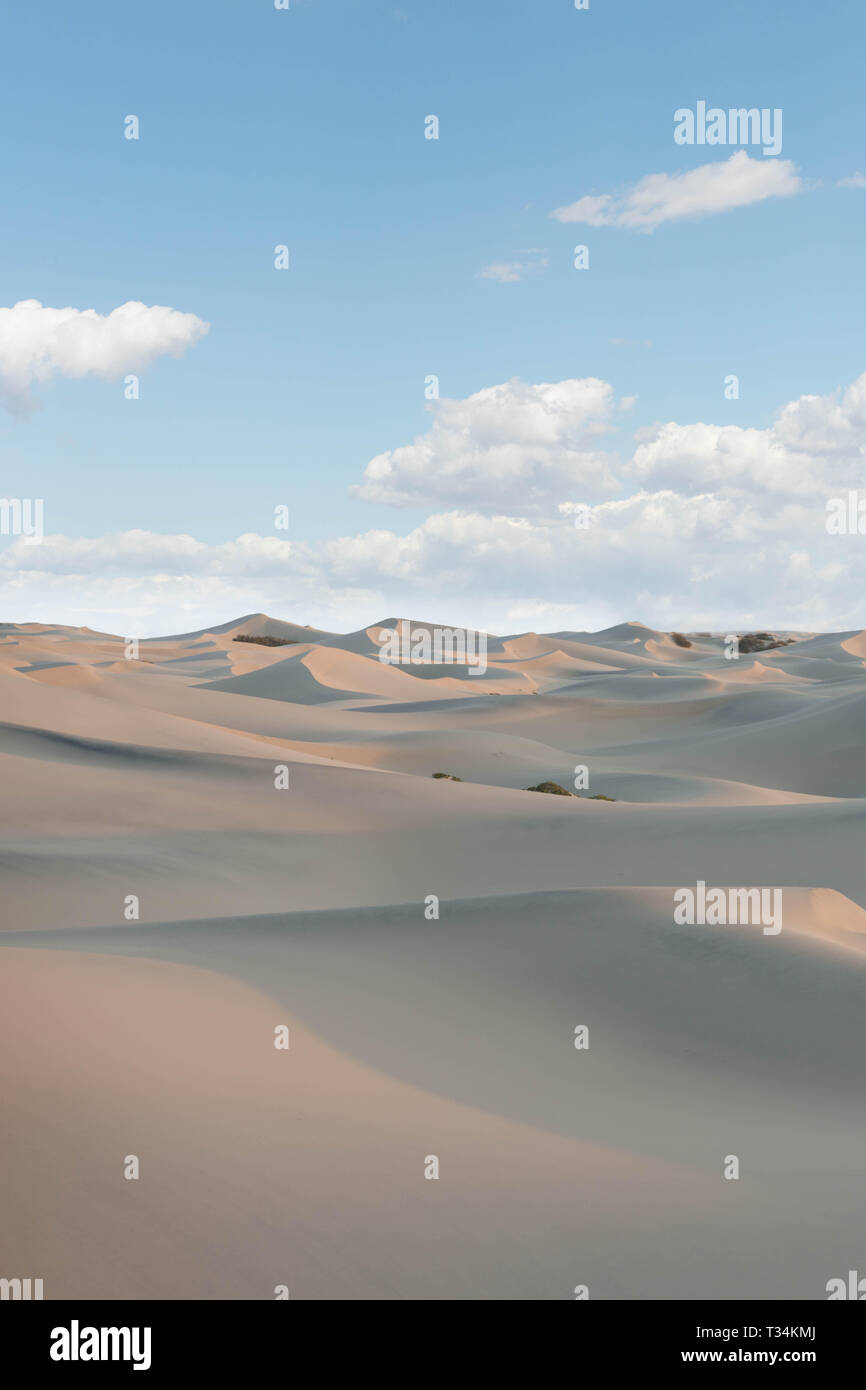 Les dunes de sable, les dunes de sable plat mesquite, Death Valley, California, United States Banque D'Images