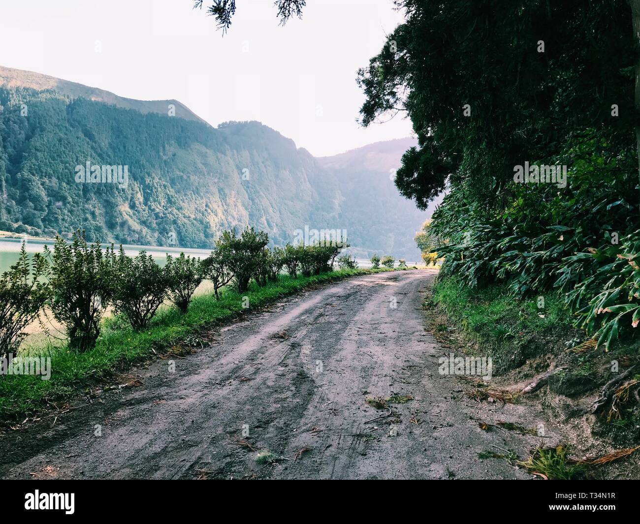 Route de terre longtemps le bord de Lagoa Azul et Lagoa das Sete Cidades, Ginetes, l'île de São Miguel, Açores, Portugal Banque D'Images