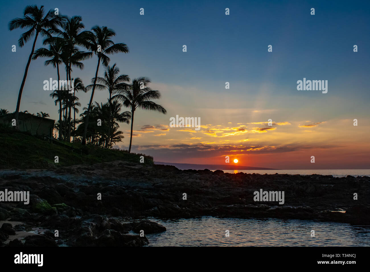 Palmiers sur la plage au coucher du soleil, Maui, Hawaii, United States Banque D'Images