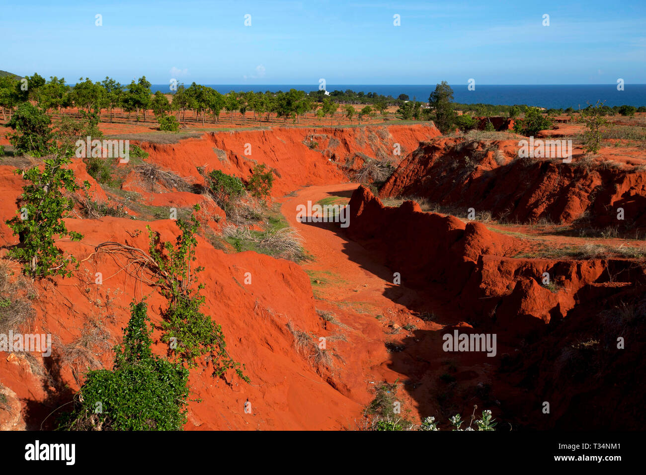 Paysage rural, Mui Ne, Phan Thiet, Vietnam Banque D'Images