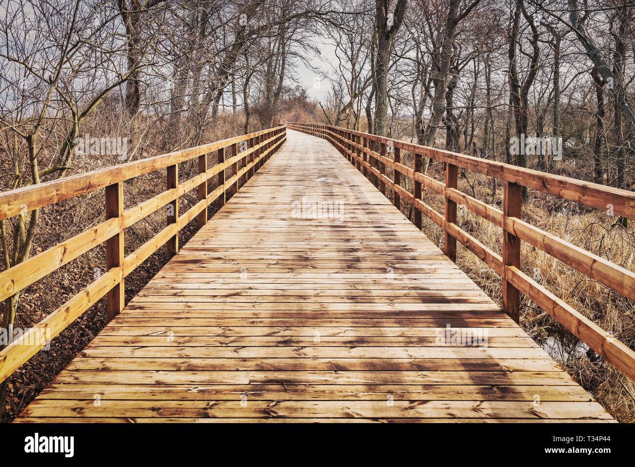 Le pont en bois fait partie oft la piste cyclable entre Kolobrzeg (Kolberg) et d'Ustronie Morskie (Henkenhagen), Kolobrzeg, Pologne, Europe Banque D'Images