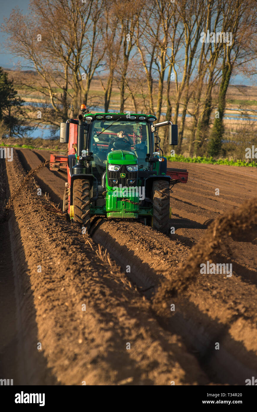 L'exercice de tracteurs en forme de lit de suivi par l'ensemencement des champs au début de l'heure à ressorts Burnham Overy dans North Norfolk, East Anglia, Angleterre, RU Banque D'Images