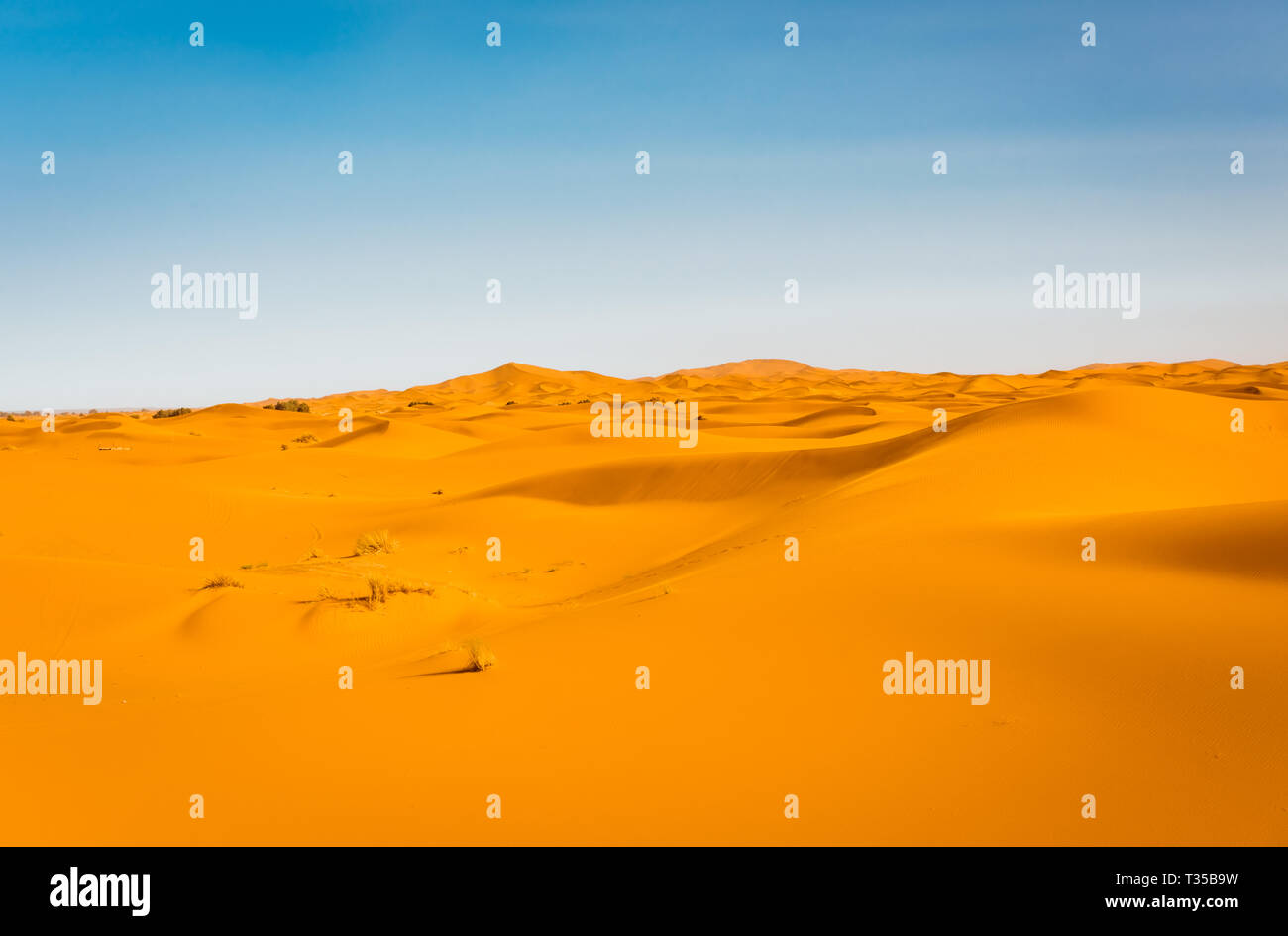 Belle scène de majestueuses dunes de Merzouga désert du Sahara au Maroc. Banque D'Images