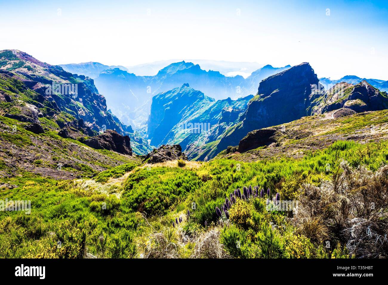 Pico do Arierio, Madeira, Portugal, Europe Banque D'Images