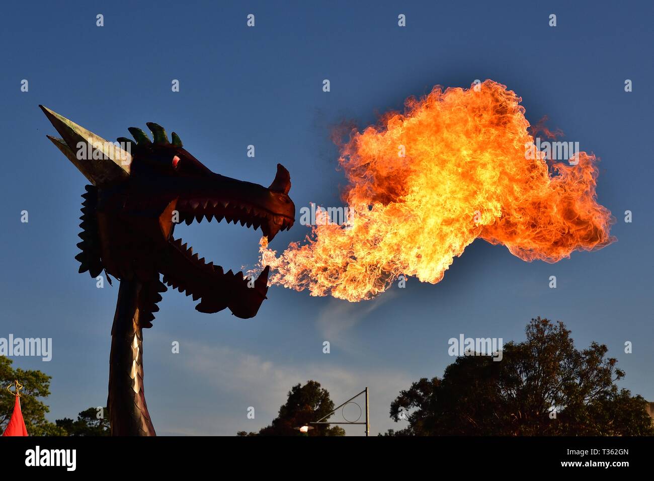 Dragon qui crache du feu Banque de photographies et d’images à haute