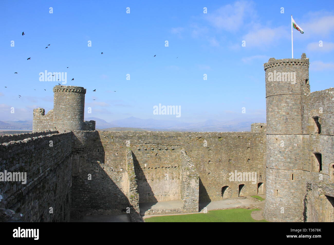 Château de Harlech, au nord du Pays de Galles Banque D'Images