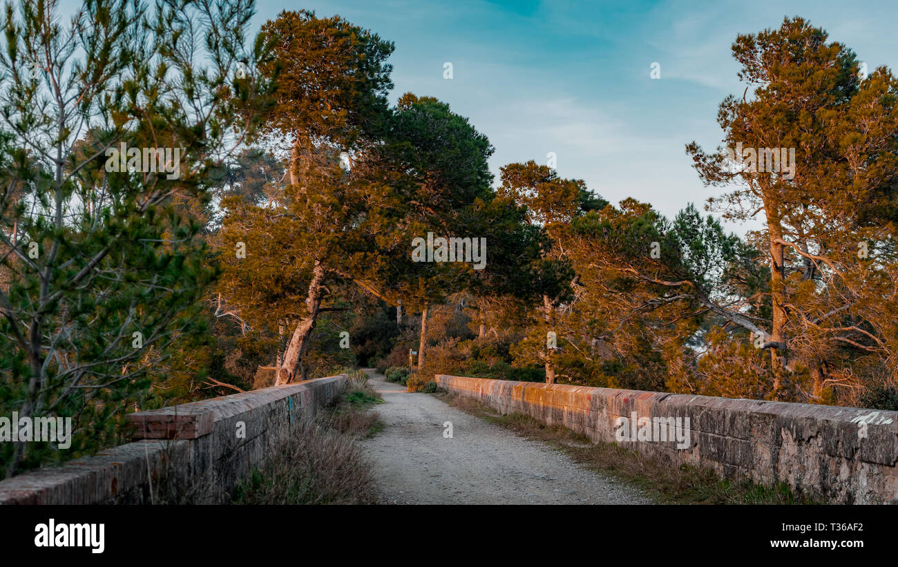 Pouvez Riera Viaduc, Sant Cugat del Vallès, Barcelone, Catalogne, Espagne. Banque D'Images