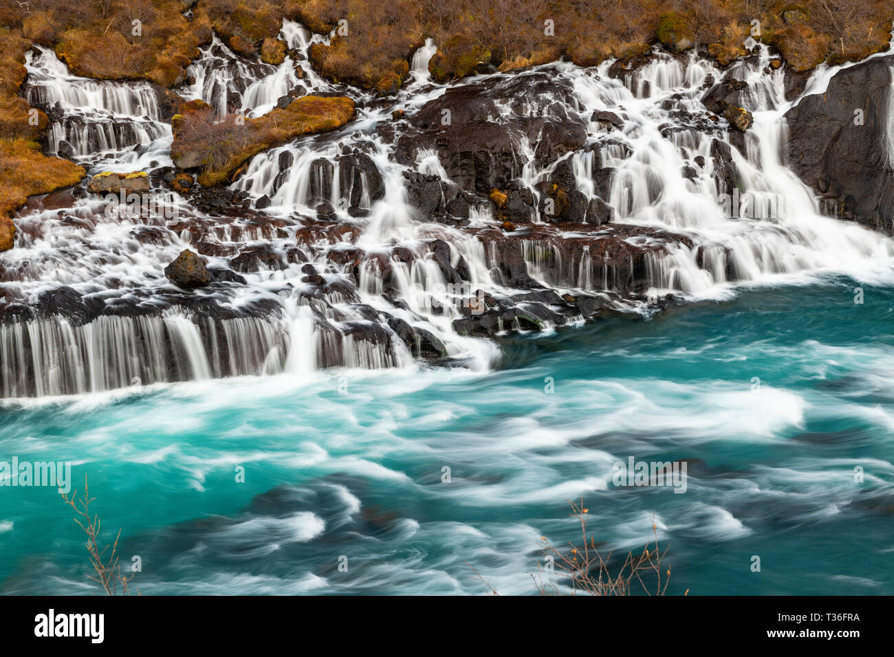 Chutes de Hraunfossar ('Lava' en anglais) dans le district de Borgarfjörður est une série de belles chutes d'eau formées par les ruisseaux de l'Hallmundar streaming Banque D'Images