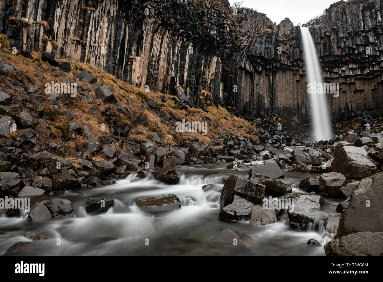 Chutes Svartifoss (noir) est une cascade de Skaftafell dans le parc national du Vatnajökull en Islande, et est l'un des sites touristiques les plus populaires dans le parc. Il i Banque D'Images