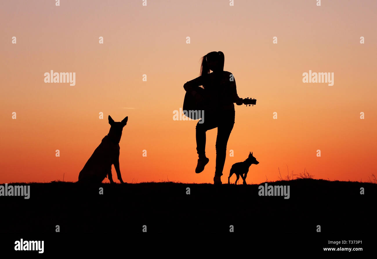 Silhouettegirls guitariste sur fond coucher de soleil, silhouette d'une race de chien de berger belge Malinois, happy friends, extérieur Banque D'Images