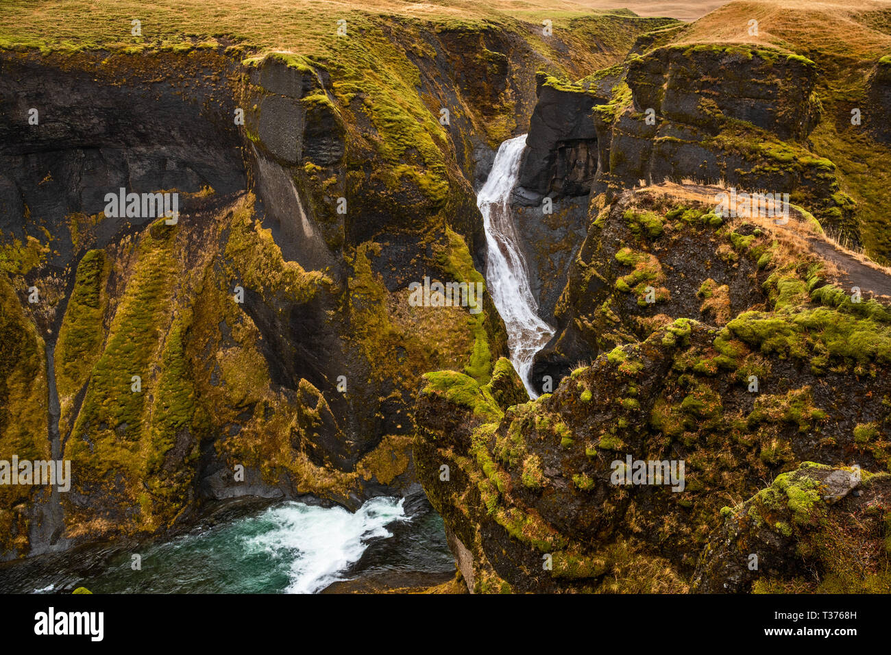 Fjaðrárgljúfur est un magnifique et immense canyon, à environ 100 mètres de profondeur et à environ deux kilomètres de long. Le canyon a les parois, et est quelque peu s Banque D'Images