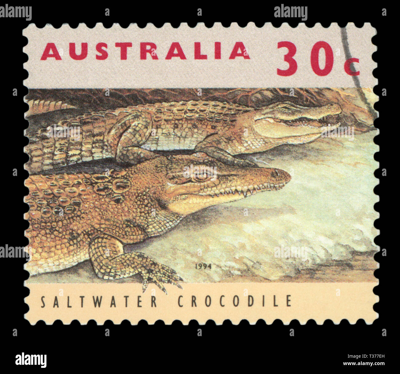 L'AUSTRALIE - circa 1994 : timbre imprimé en Australie montre saltwater crocodile, vers 1994. Banque D'Images