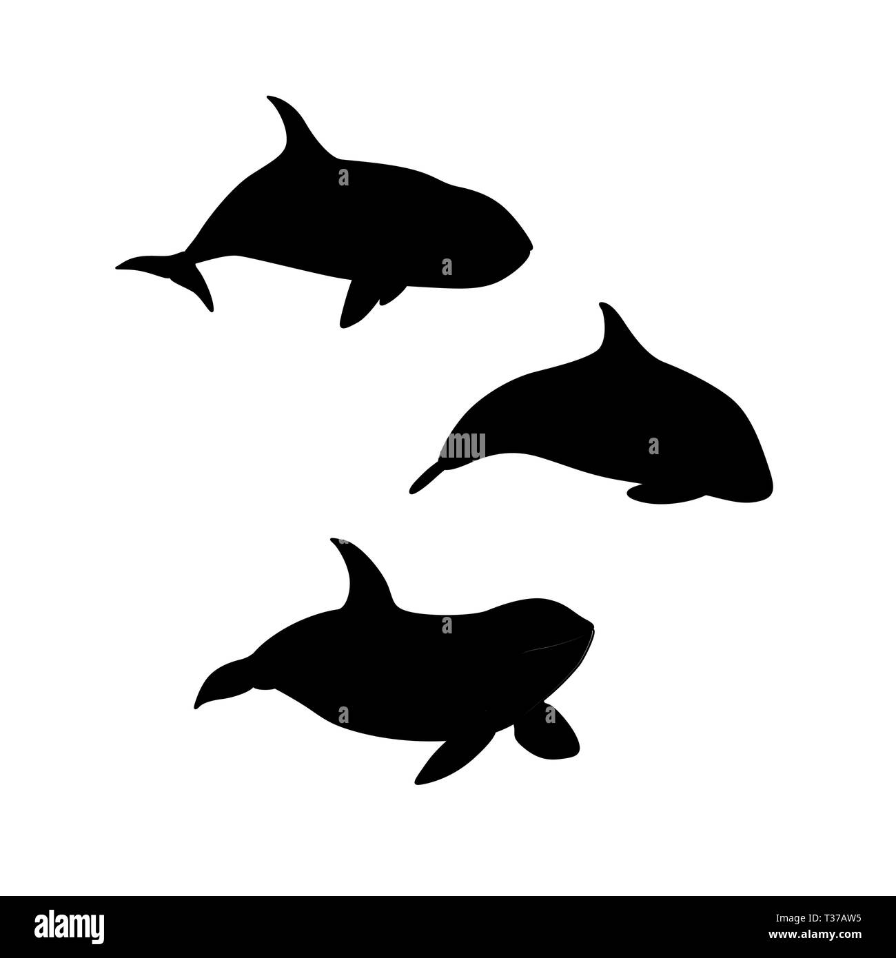 Vector illustration of hand drawn killer whale set silhouette. Animal marin silhouette famille orca Illustration de Vecteur