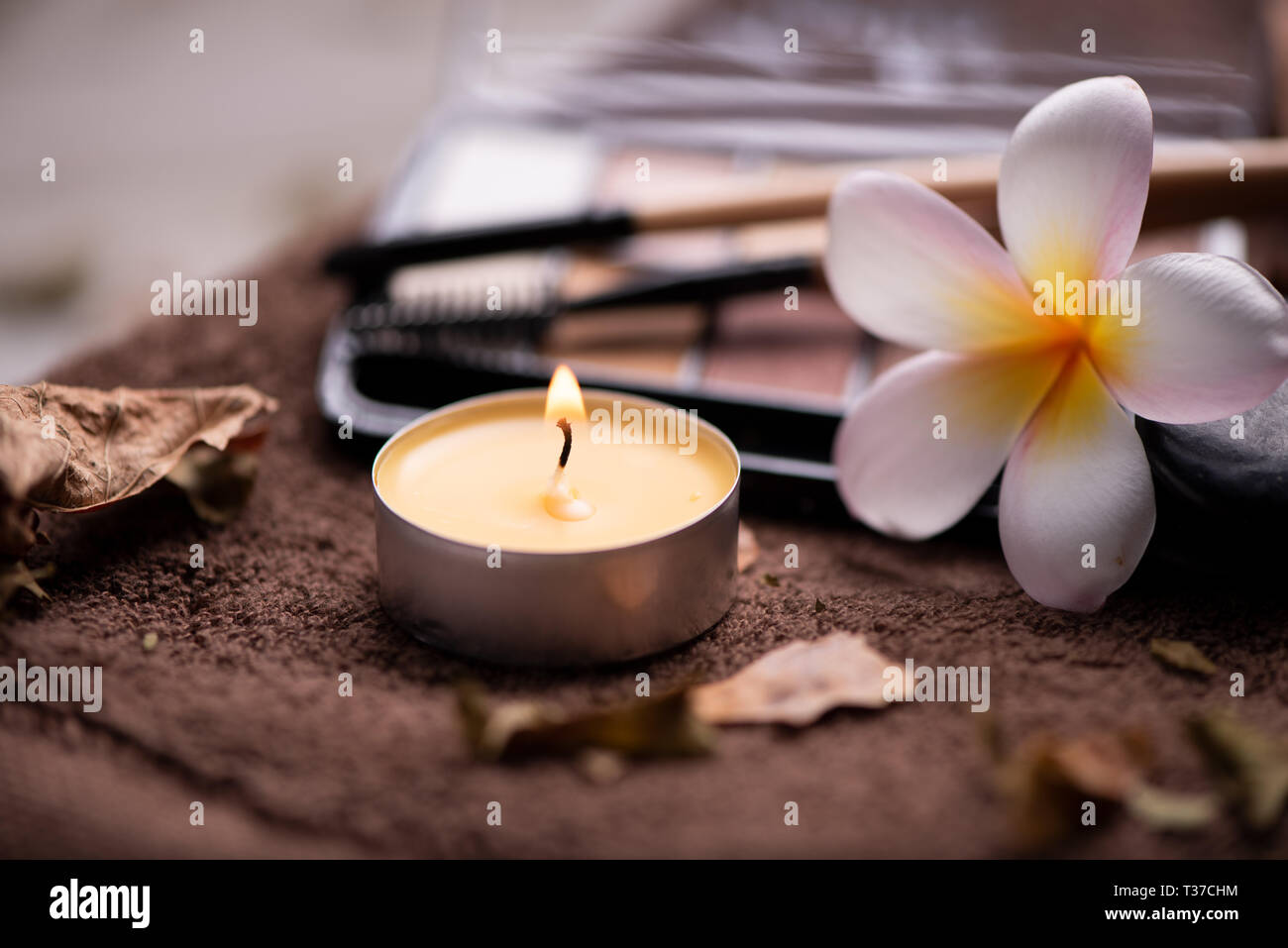 Pinceaux de maquillage professionnel et d'outils, des produits de maquillage naturel situé sur le tableau blanc avec fleur pomelia Banque D'Images