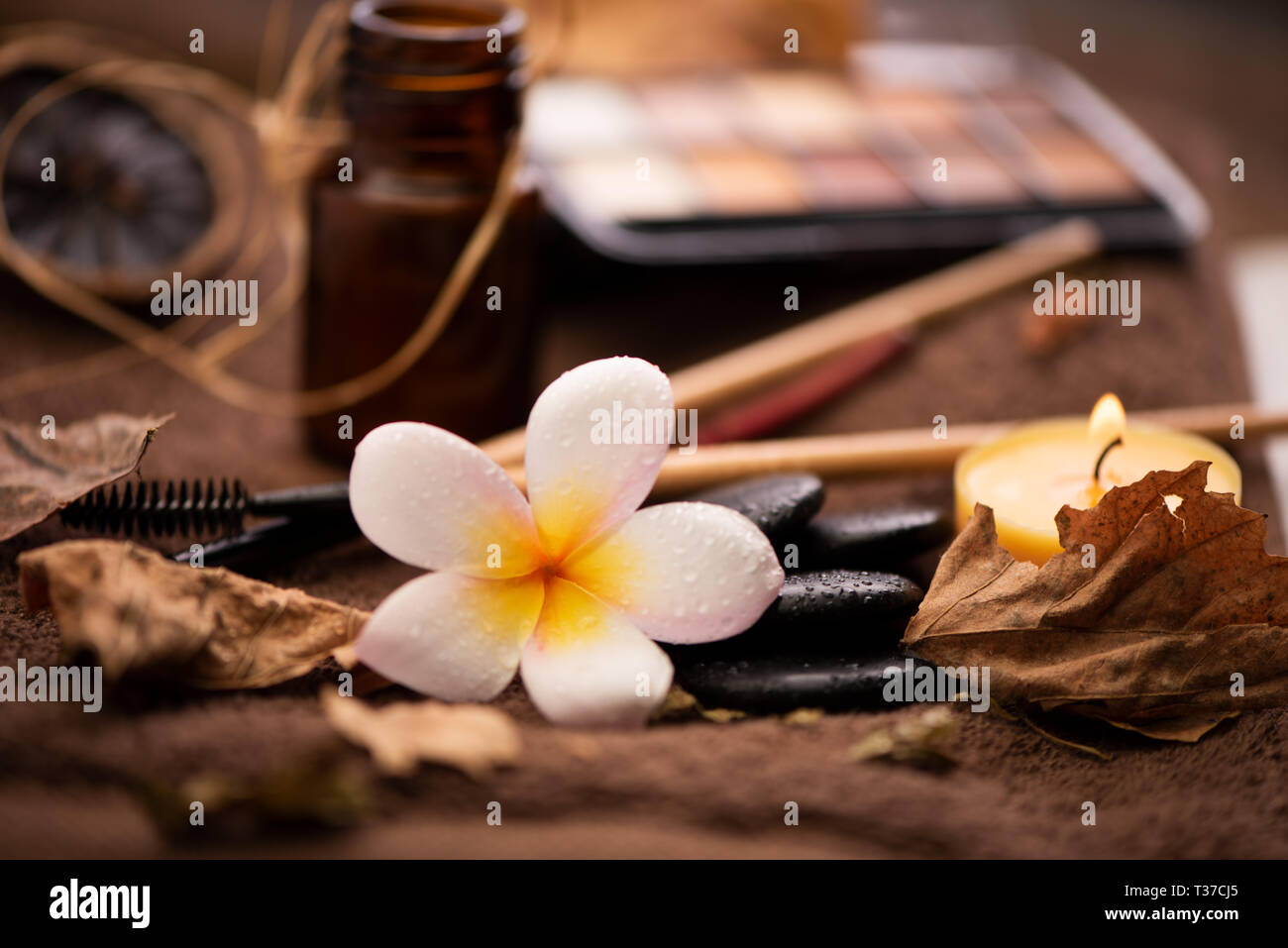 Pinceaux de maquillage professionnel et d'outils, des produits de maquillage naturel situé sur le tableau blanc avec fleur pomelia Banque D'Images
