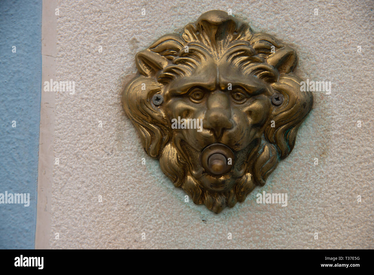Porte avec une tête de lion, antiqued laiton bruni bouton. Bouton de  sonnette électrifiée d'une maison à Burano, Venise Photo Stock - Alamy