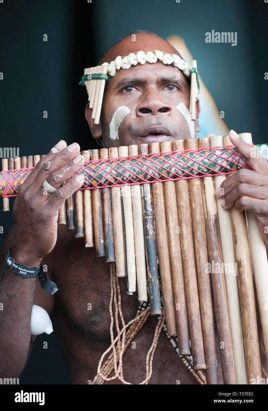 Narasirato se produisant au festival WOMAD, Charlton Park, Royaume-Uni.  Îles Salomon 'bamboo orchestra' Photo Stock - Alamy