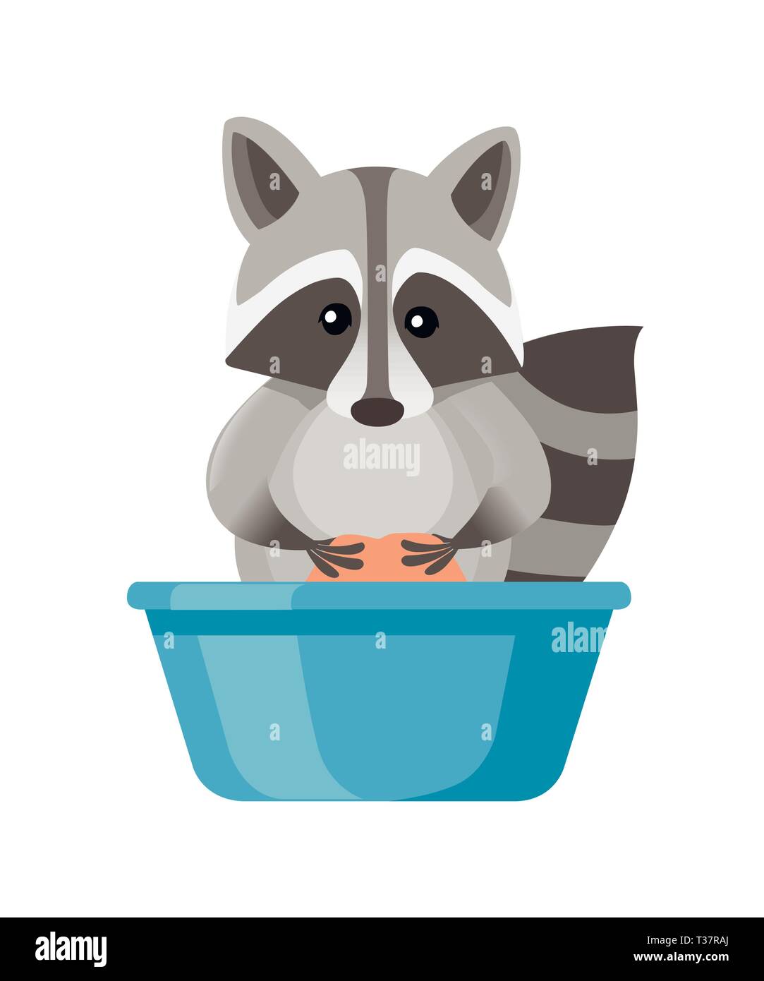 Cute cartoon le raton laveur lave linge dans un bassin en plastique. Cartoon animal character design. Télévision vector illustration isolé sur fond blanc. Illustration de Vecteur