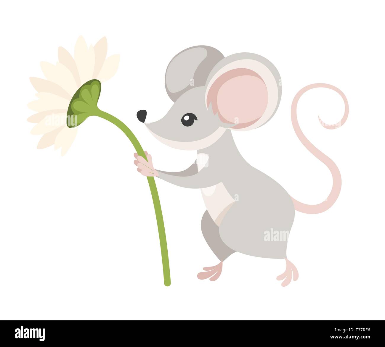 Mignon petit gris souris est titulaire d'une fleur. Cartoon animal character design. Télévision vector illustration isolé sur fond blanc. Illustration de Vecteur