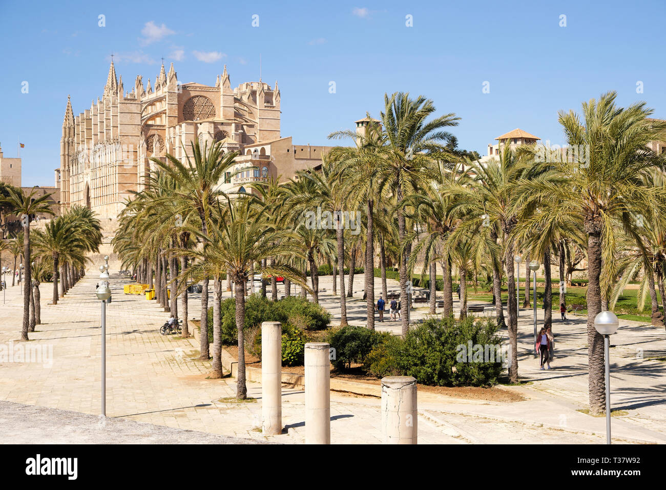 Palma de Majorque, Espagne - 24 mars 2019 Fin : vue sur la célèbre cathédrale gothique Santa Maria de la Seu avec jardin de palmiers au premier plan Banque D'Images