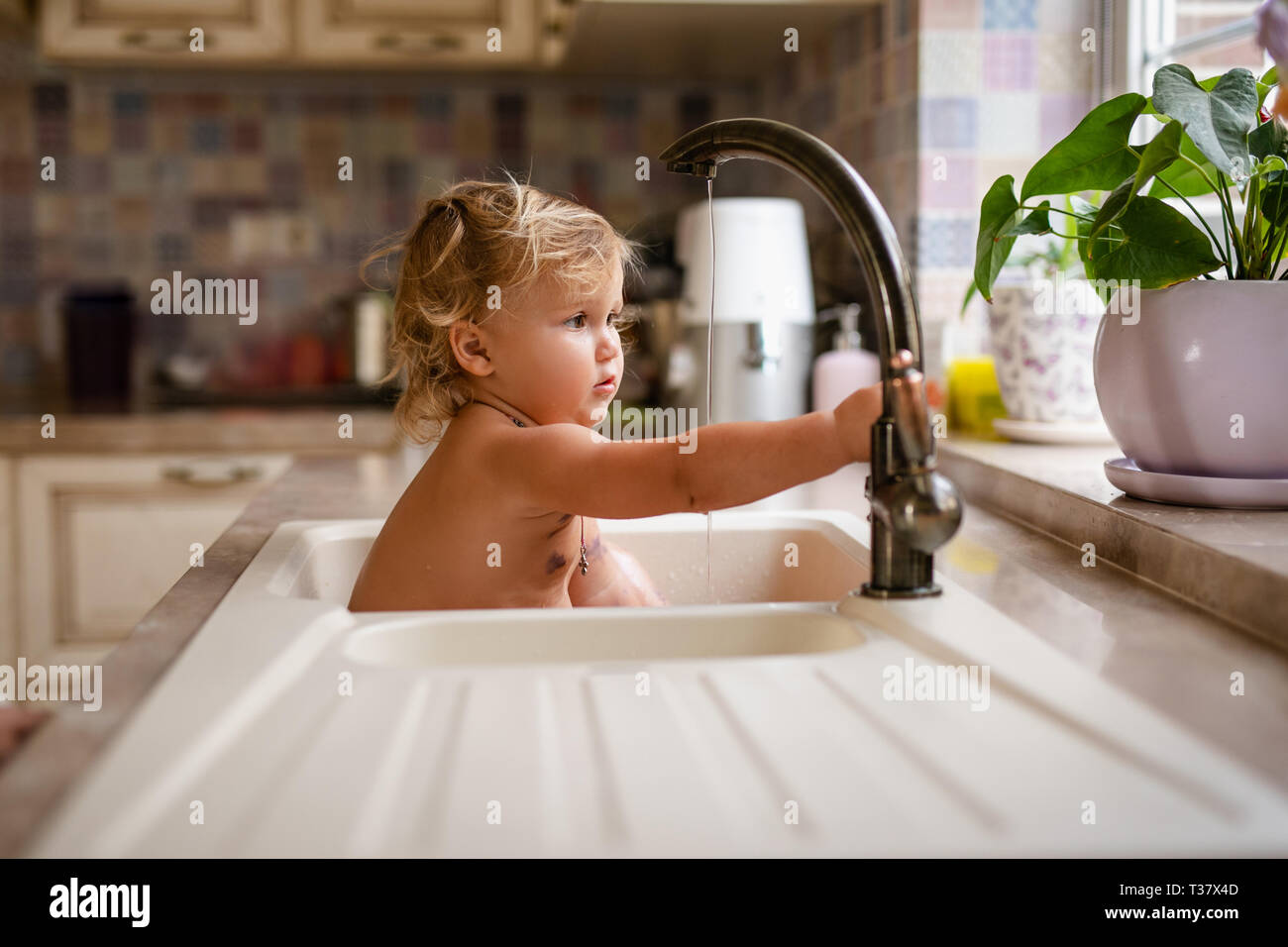 Baignoire Bébé En Tenant Dans L'évier De La Cuisine. Enfant Jouant Avec De L 'Eau Et Des Bulles De Savon Dans Une Cuisine Ensoleillée Avec Fenêtre.  Plaisir De L'eau Pour Les Enfants. L'hygiène