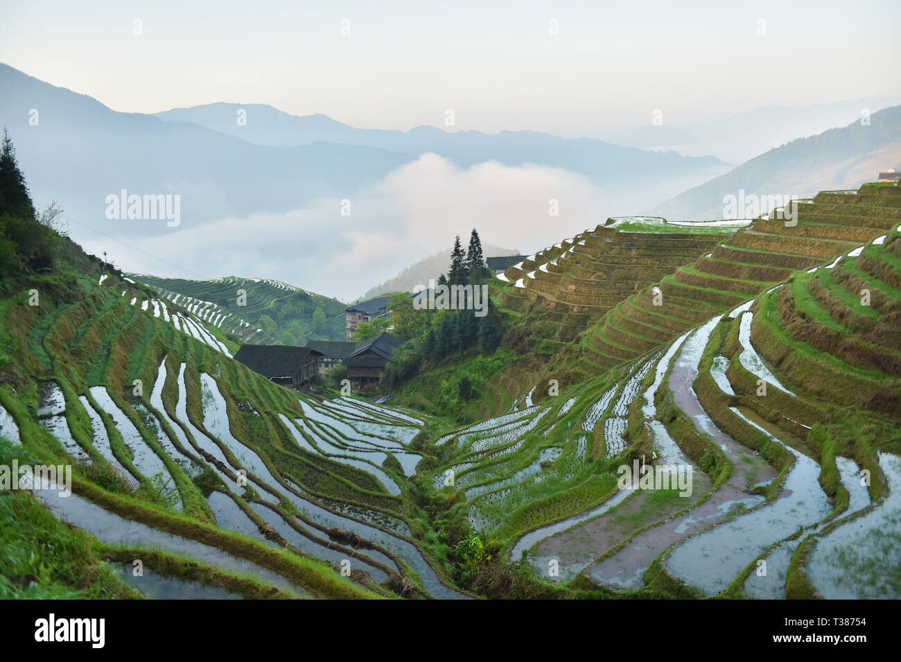 Longsheng. Apr 7, 2019. Photo prise le 7 avril 2019 montre une vue d'une requête Ping Village de Longsheng County, Chine du Sud, région autonome Zhuang du Guangxi. Credit : Cao Yiming/Xinhua/Alamy Live News Banque D'Images