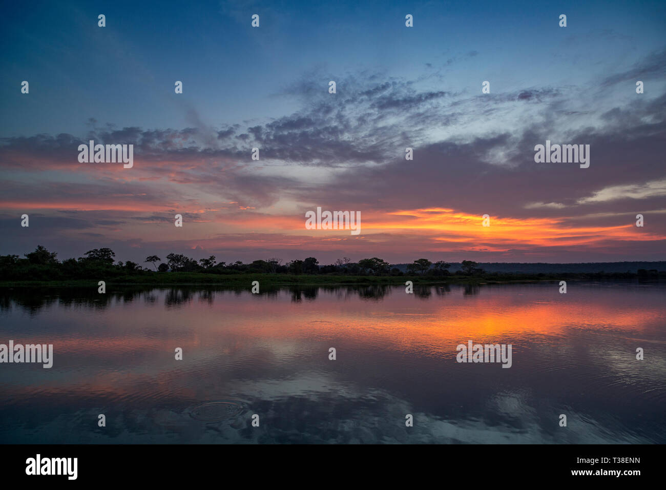 Coucher du soleil à des zones humides, Pantanal, Mato Grosso, Brésil Banque D'Images