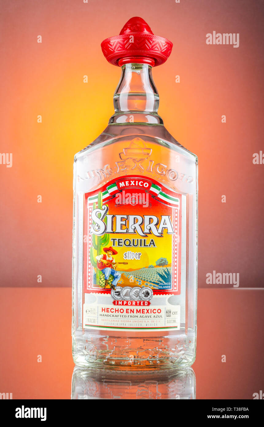 Sierra tequila sur gradient background Banque D'Images