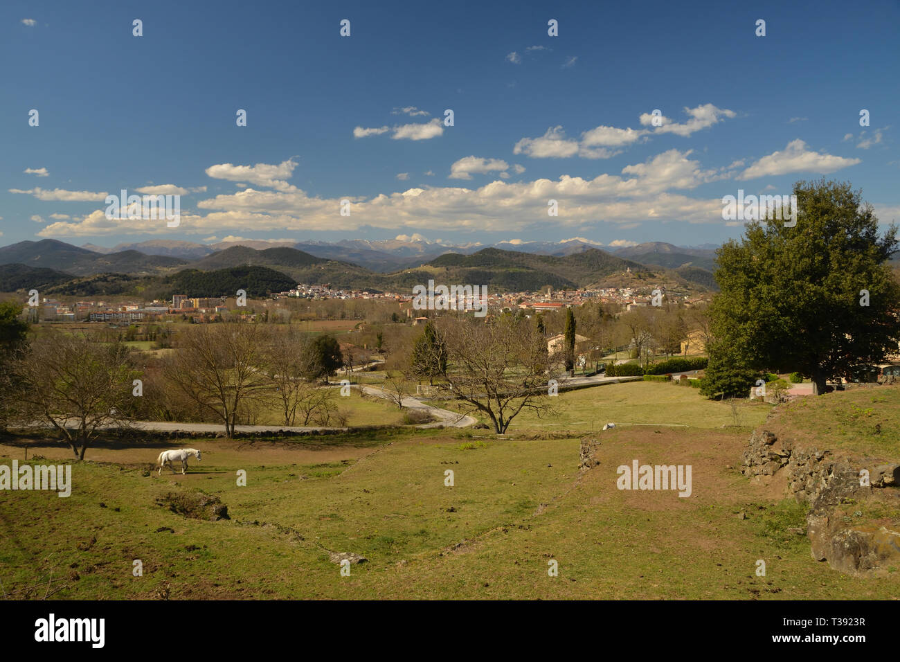 Un cheval blanc dans un champ avec des montagnes derrière, à Olot, dans les contreforts des Pyrénées espagnoles. Banque D'Images