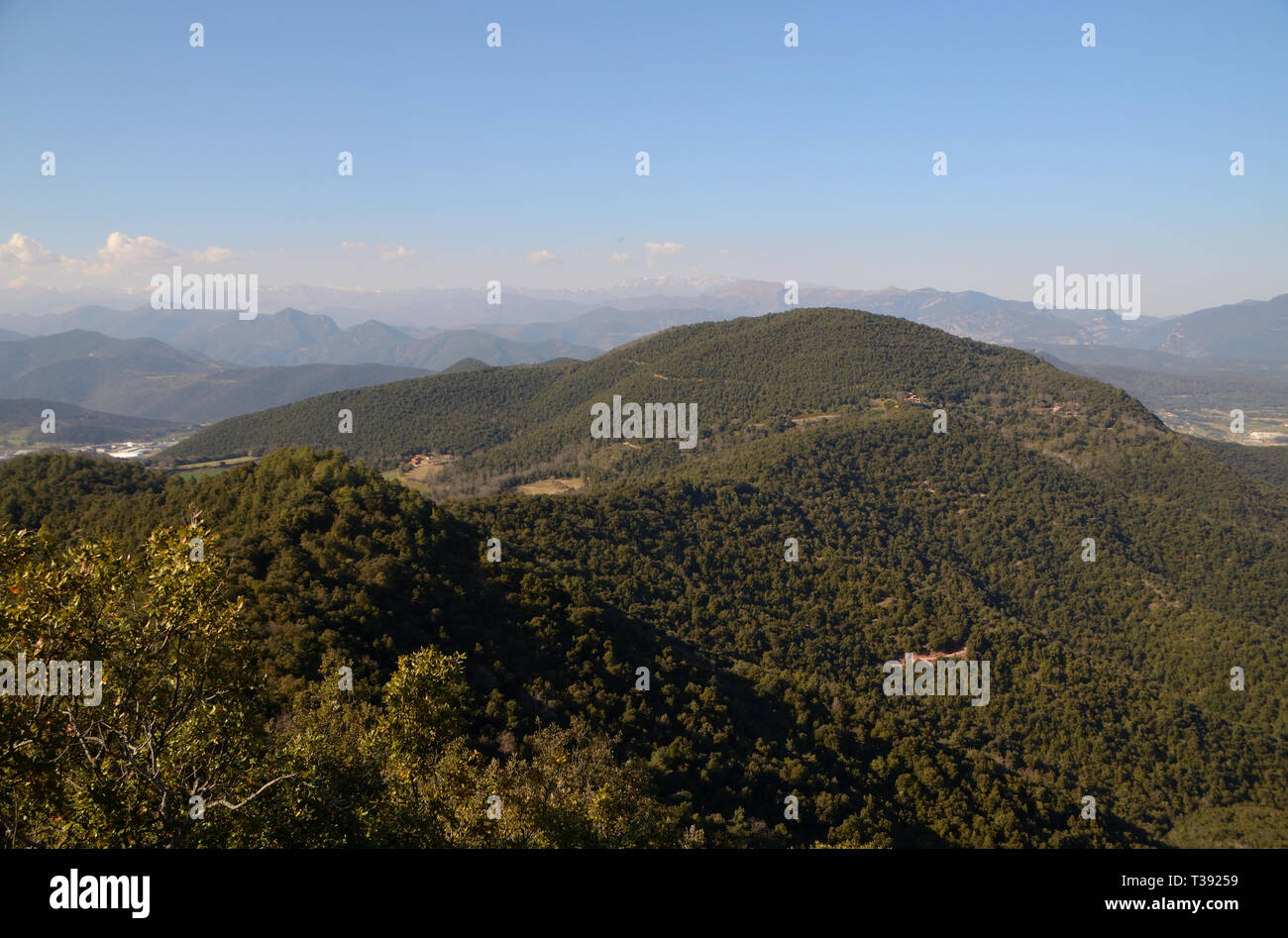 Un paysage de collines couvertes d'arbres dans la région de l'Espagne de la Garrotxa Banque D'Images