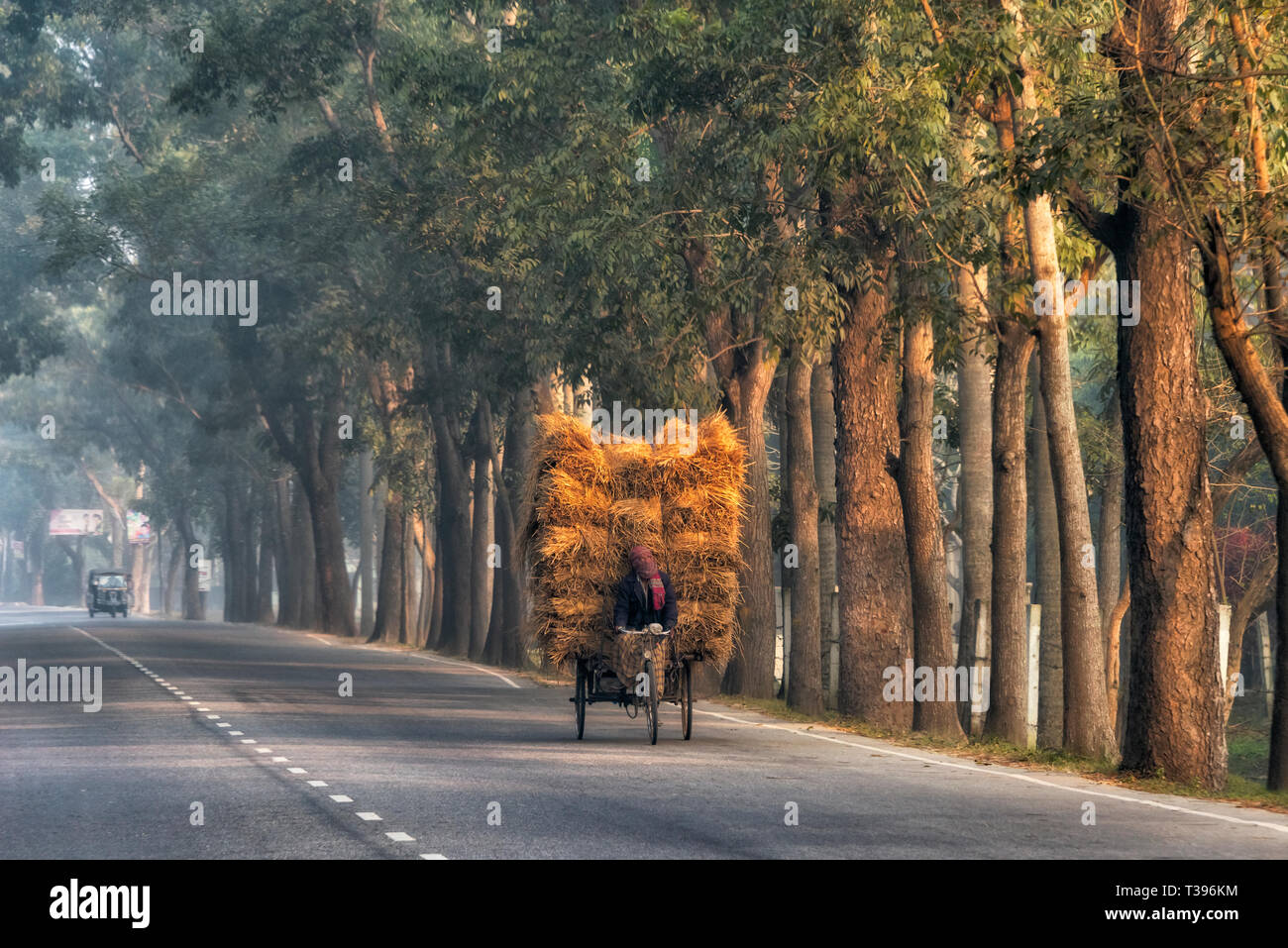 Tricycle chargé avec d'énormes haystack, Khulna, Bangladesh Division Banque D'Images