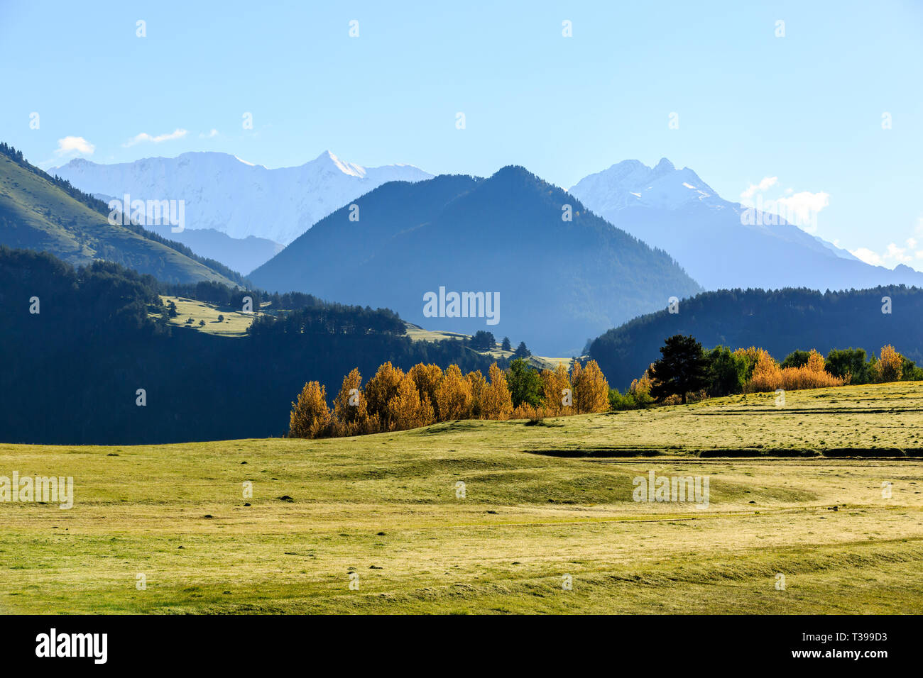 Tôt le matin dans la région de Green Valley de montagnes du Caucase. La Géorgie. Tusheti Banque D'Images